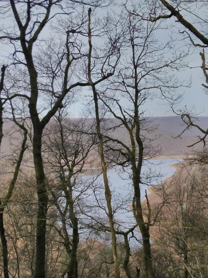 Entre Meuse Et Foret Revin  外观 照片