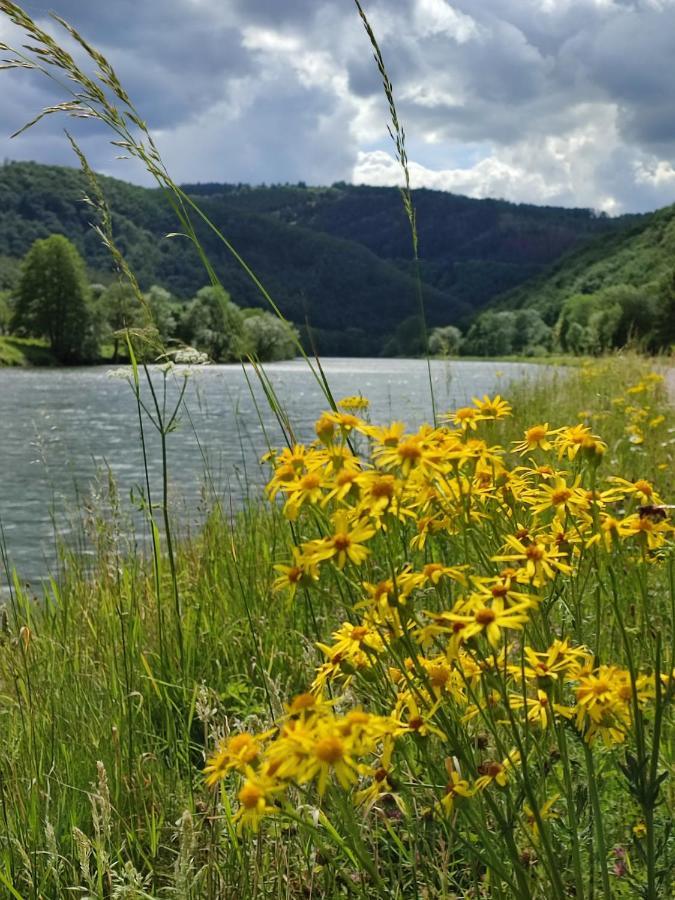Entre Meuse Et Foret Revin  外观 照片