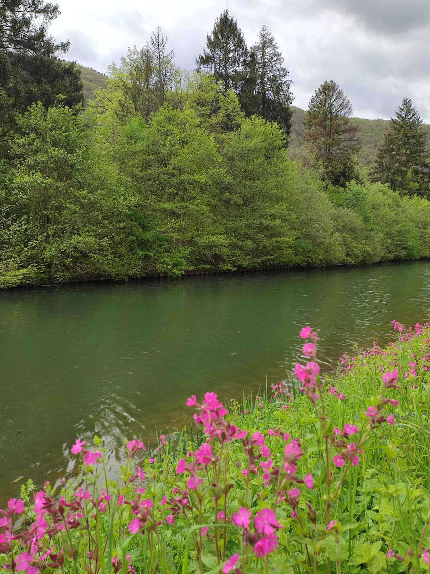 Entre Meuse Et Foret Revin  外观 照片
