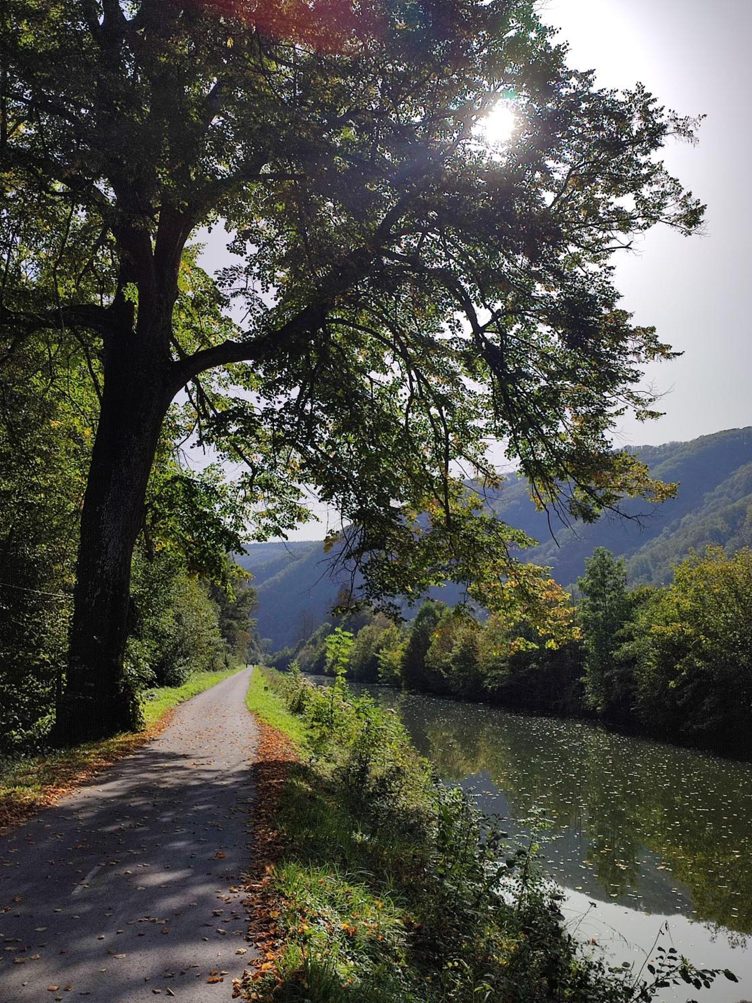 Entre Meuse Et Foret Revin  外观 照片