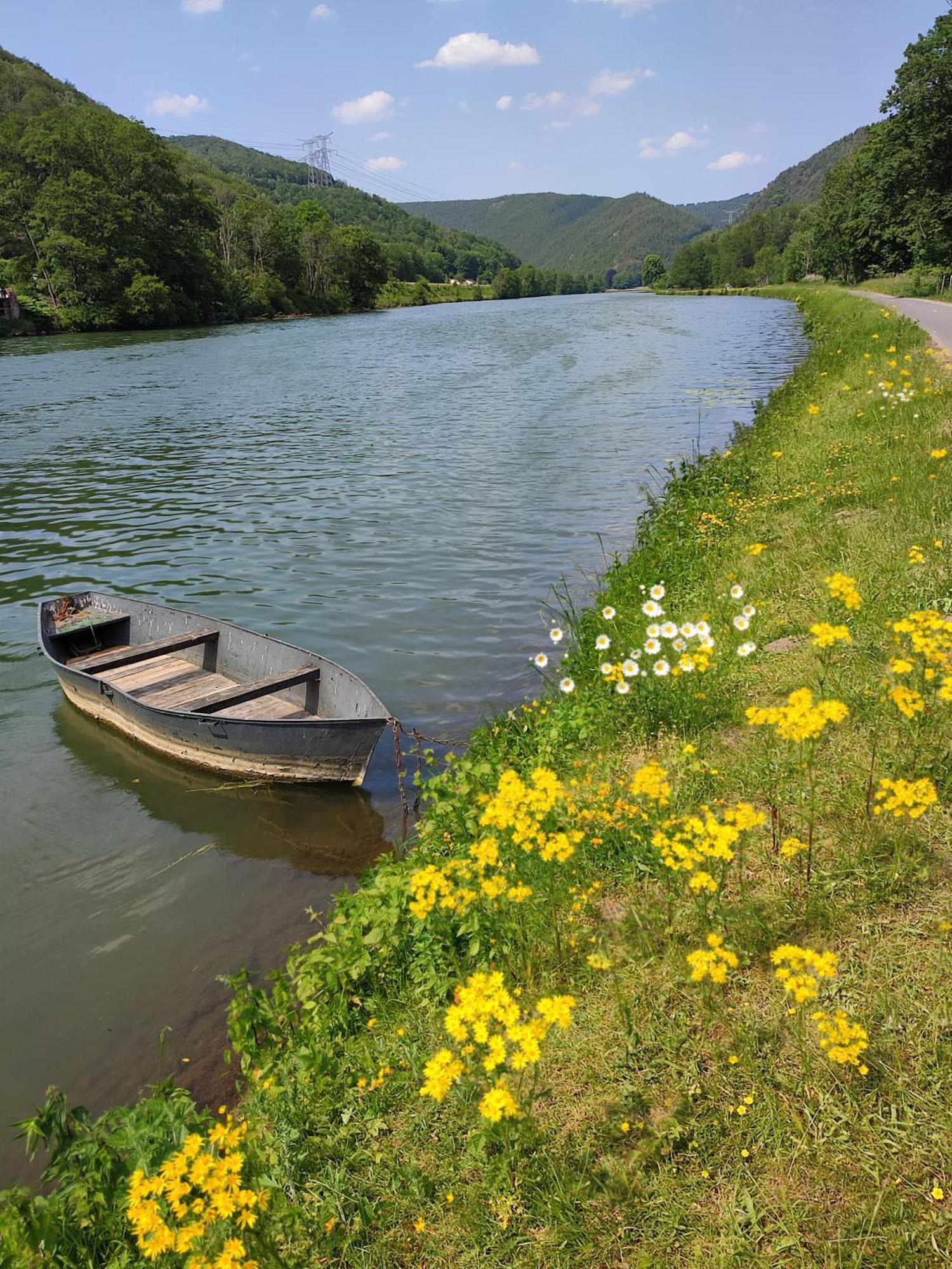 Entre Meuse Et Foret Revin  外观 照片