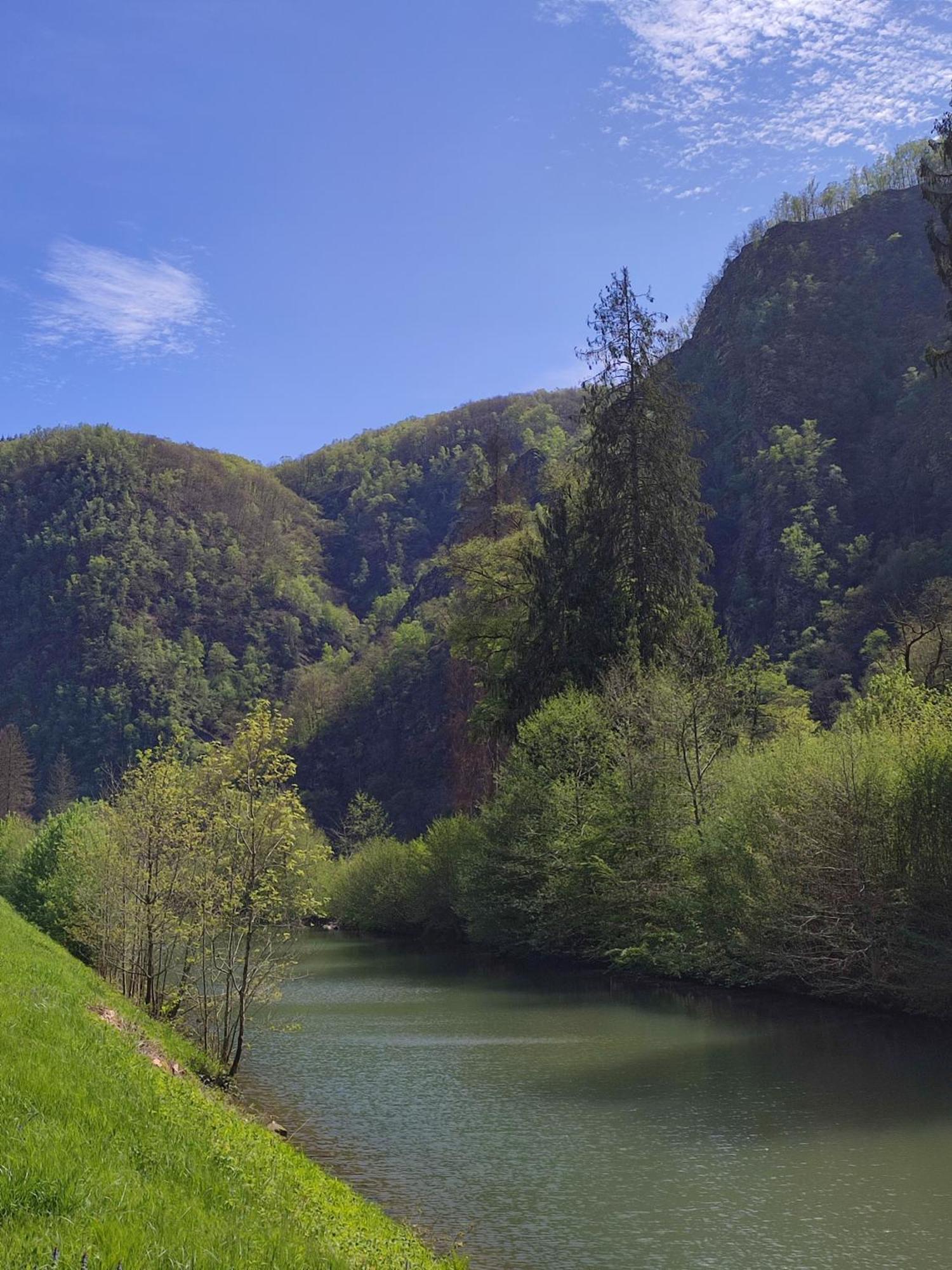 Entre Meuse Et Foret Revin  外观 照片